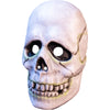 Don Post Studio - SKULL Plastic MASK by Trick or Treat Studios