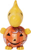 Peanuts - Woodstock Pumpkin Mini Figurine from Jim Shore by Enesco D56