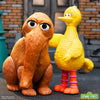 Sesame Street - Big Bird/Mr. Snuffleupagus 2-pk ReAction Figures by Super 7