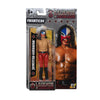 Legends of Lucha Libre - Juego de accesorios premium de Lucha Extrema de Boss Fight Studio