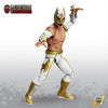 Legends of Lucha Libre - Juego de accesorios premium de Lucha Extrema de Boss Fight Studio
