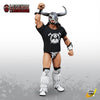 Legends of Lucha Libre - Juego de accesorios premium de Lucha Extrema de Boss Fight Studio