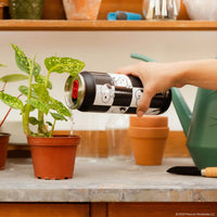 Peanuts - SNOOPY 16 Oz Stainless Steel Can Tumbler by Igloo Coolers