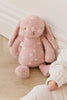 Snuggle Bunnies  - Penelope the Bunny Little Love 12" Premium Plush by Jamie Kay Co.