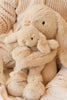 Snuggle Bunnies  - Frankie the Hugging Bunny - Caramel Premium Plush by Jamie Kay Co.