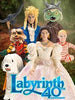Jim Henson's Labyrinth - Wave 2 Set of 4-pcs 3.75" Scale Action Figures by Plastic Meatball