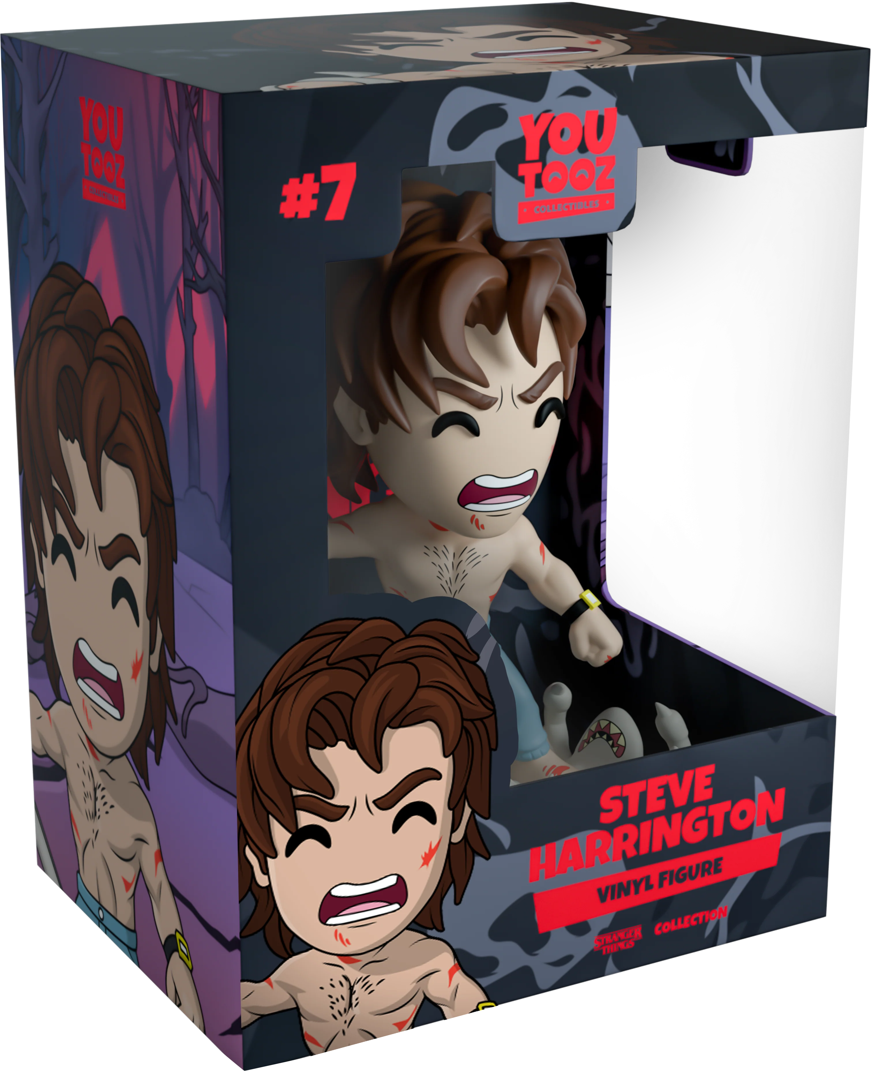 st-steve_box_final-p6i5_png.