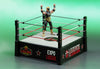 Legends of Lucha Libre - Juego de accesorios premium de Lucha Extrema de Boss Fight Studio