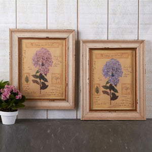Two's Company Set of 2 Officina Naturalis Hydrangea Prints