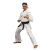 Karate Kid - Daniel LaRusso Action Figure by Icon Heroes