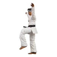 Karate Kid - Daniel LaRusso Action Figure by Icon Heroes