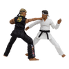 Karate Kid - Johnny Lawrence Action Figure by Icon Heroes