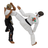Karate Kid - Figura de acción de Johnny Lawrence de Icon Heroes 