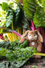 Steiff  - BOMMEL Dangling Plush Rabbit - 11" Authentic Steiff